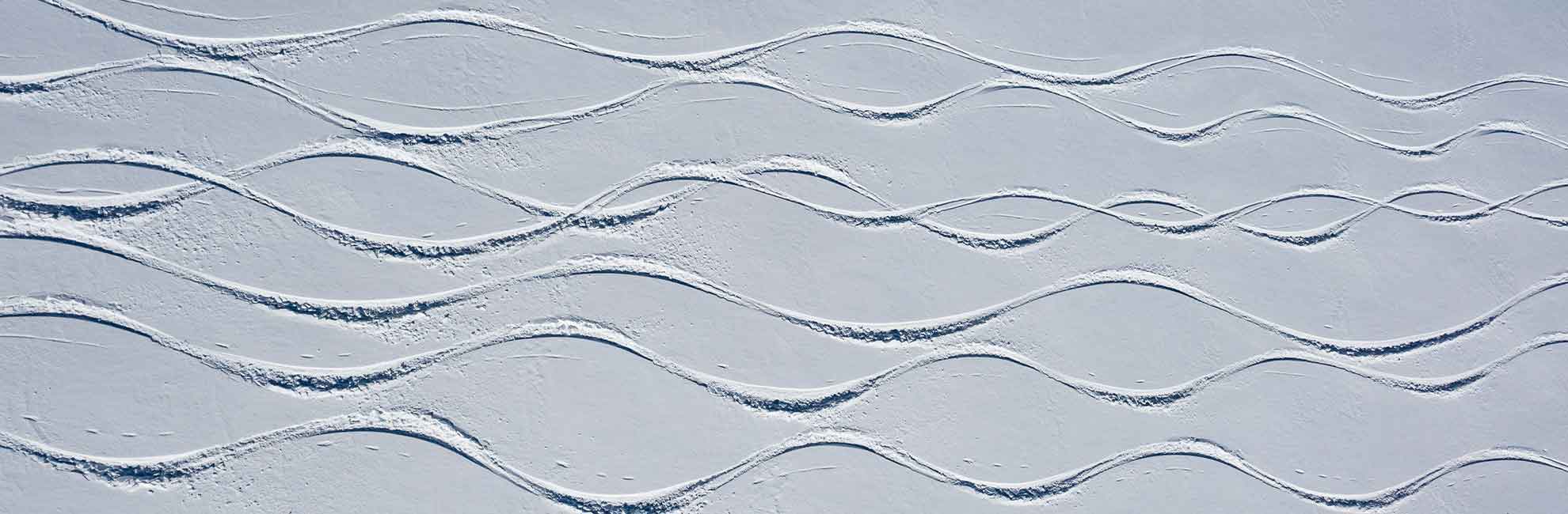 cat-winter2022-hero